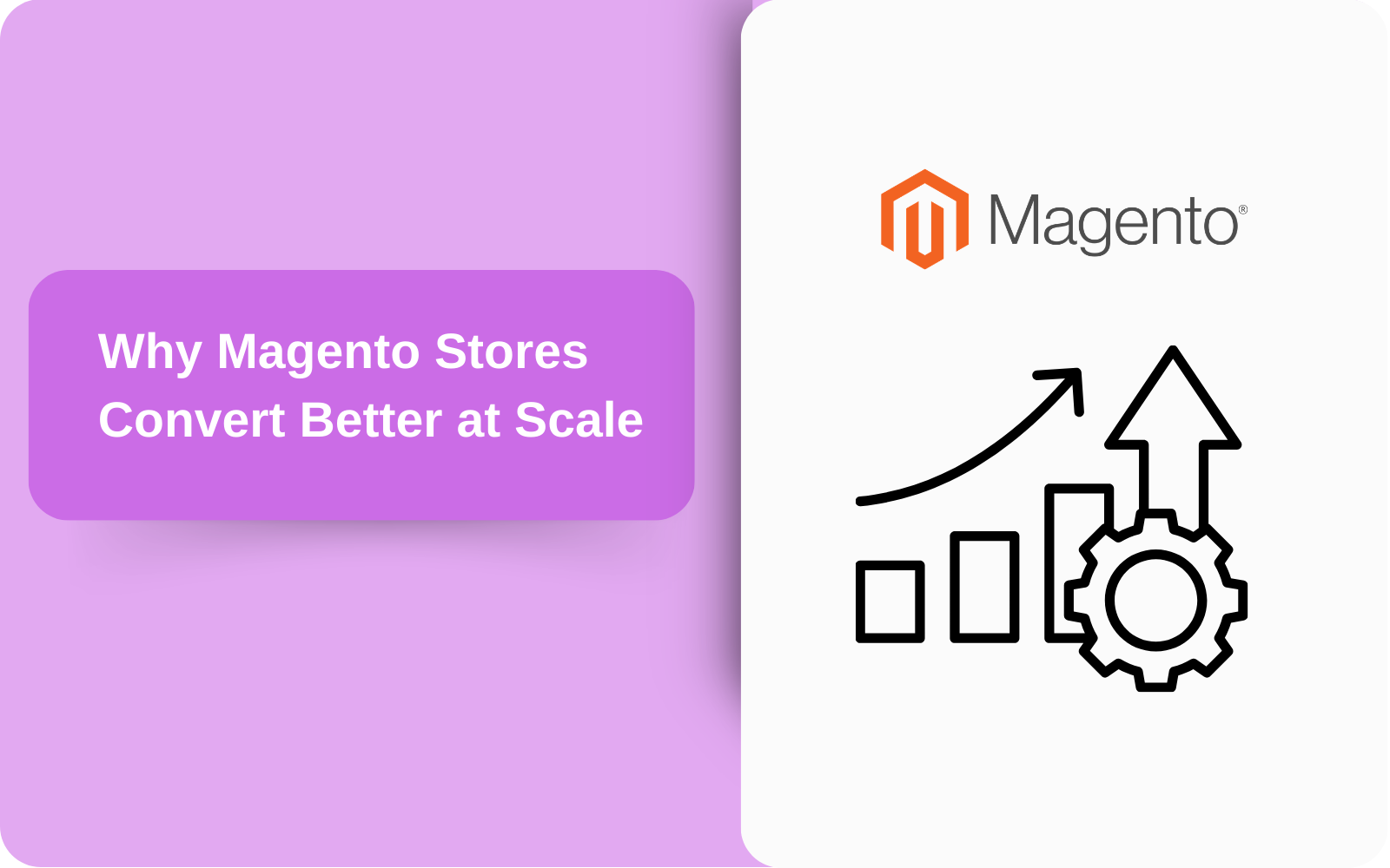 Why Magento Stores Convert Better at Scale