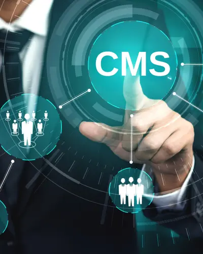 Content Management System (CMS) Development