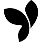 YII